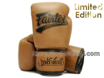 fairtex brown gloves