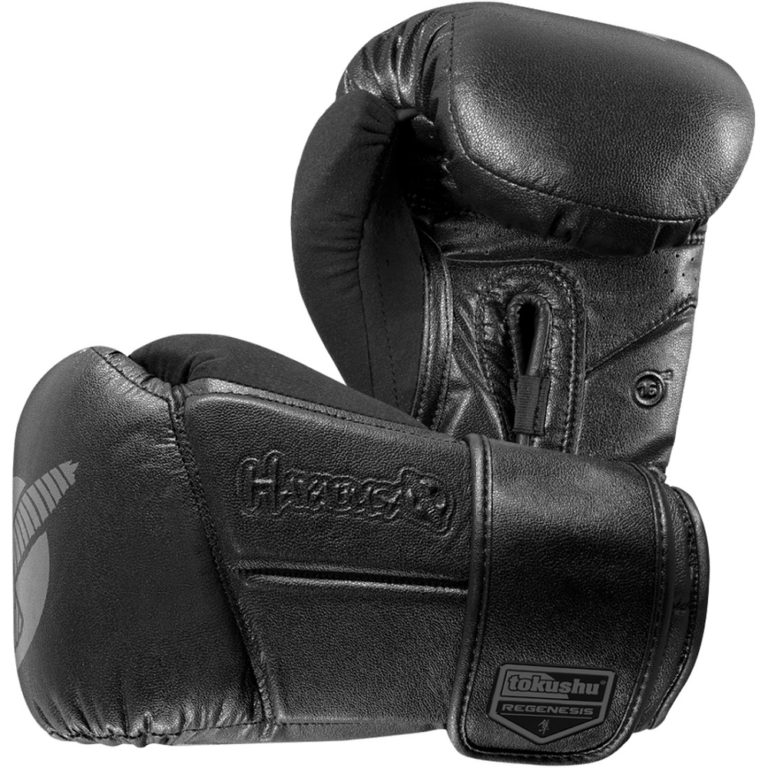 Hayabusa tokushu boxing gloves online